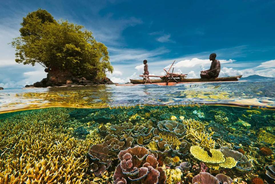 Papua Nugini (westpapuastory.com)