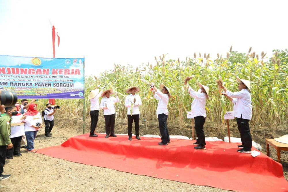 Mentan Ajak Masyarakat Kembangkan Tanaman Sorgum