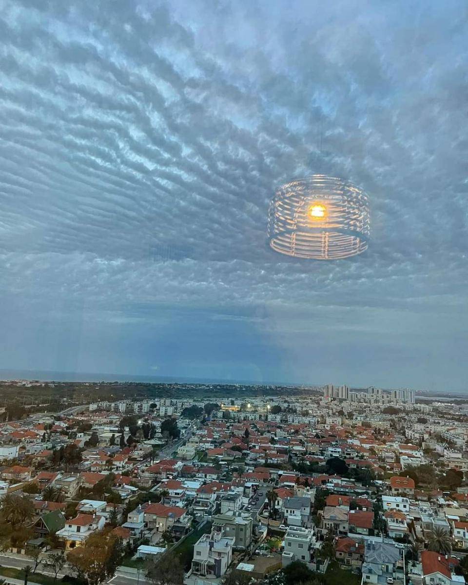 potret foto yang membingungkan (reddit.com/user/lizziegolucky)