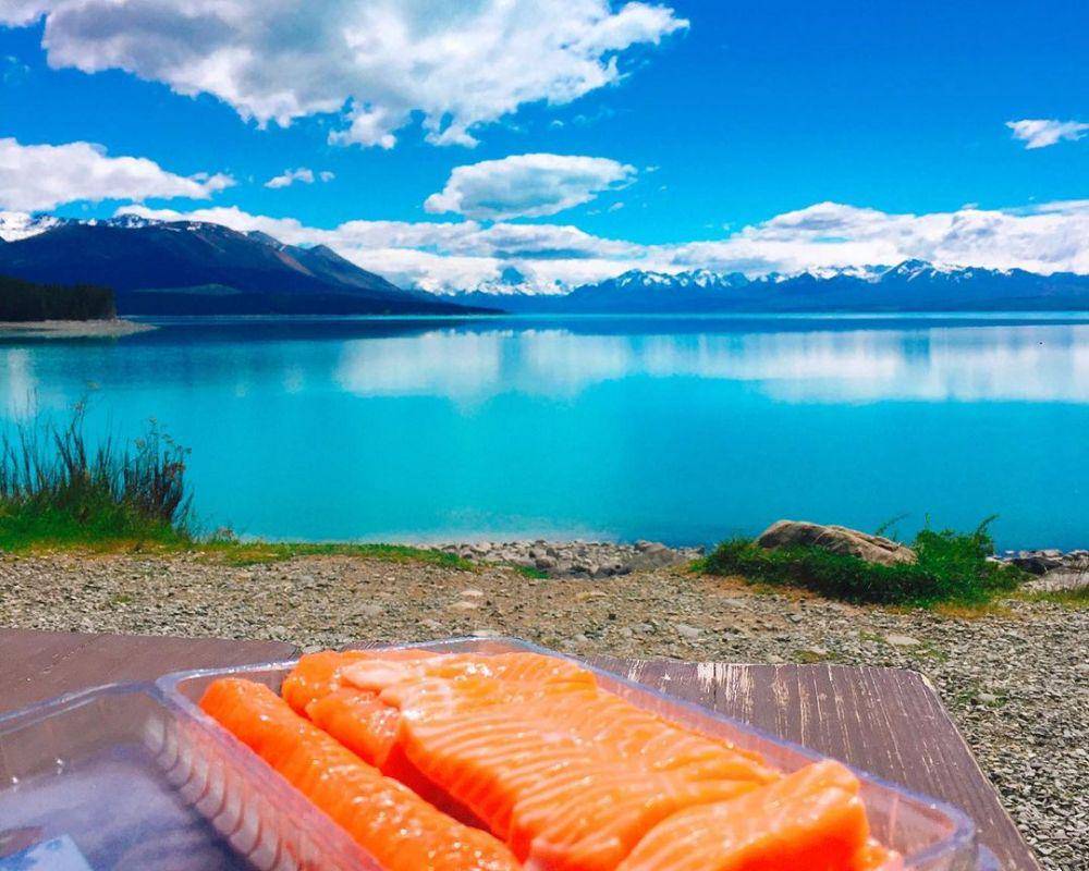 Mount Cook Alpine Salmon (instagram.com/iam._.ella)