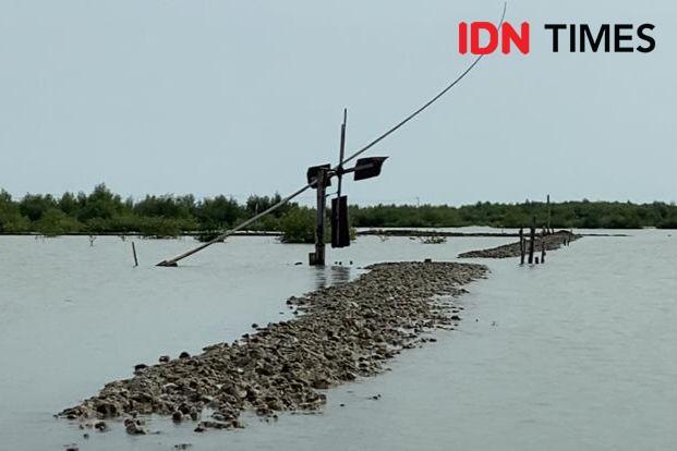 Lahan Garam Terus Direndam Rob, Petambak Garam Cirebon Tagih Janji KSP