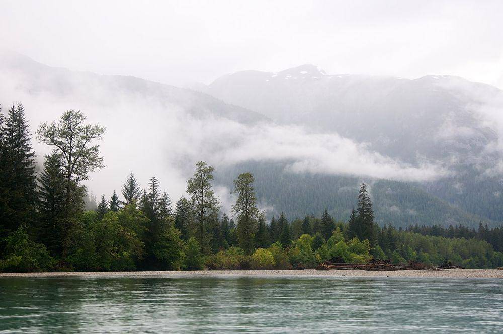 Konservasi Kitlope Heritage, bagian dari Great Bear Rainforest (commons.wikimedia.org/Sam Beebe)