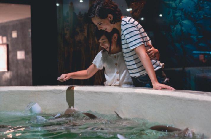 ilustrasi mengunjungi sea world bersama anak (pexels.com/Los Muertos Crew)