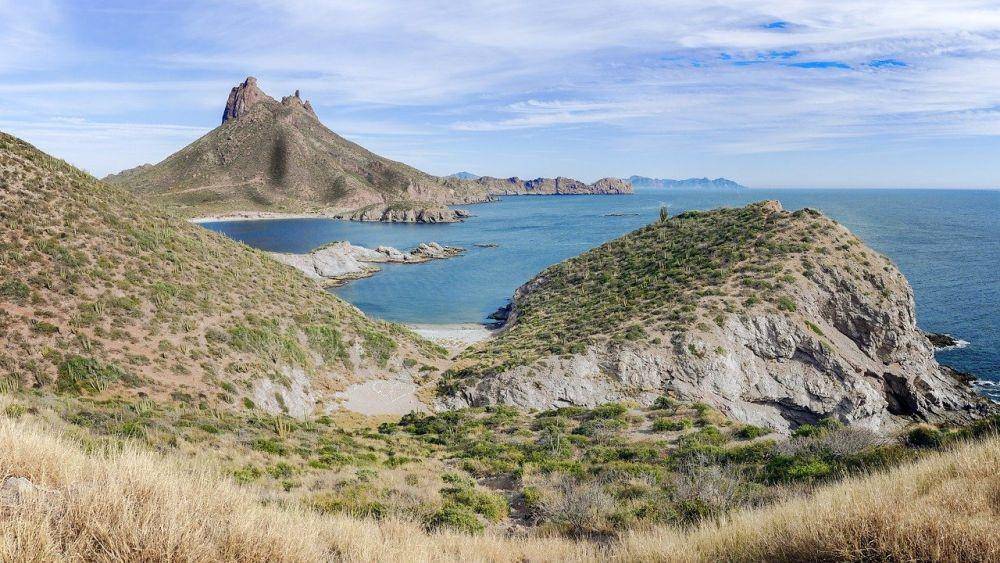 ilustrasi Gurun Sonora (pixabay.com/miriam1307)