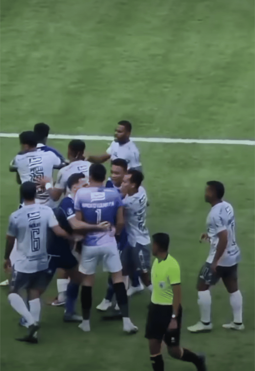 Tangkapan layar keributan antara Nadeo dan Ricky Kambuaya saat laga Persib VS Bali United (Dok. IDN Times/Istimewa)