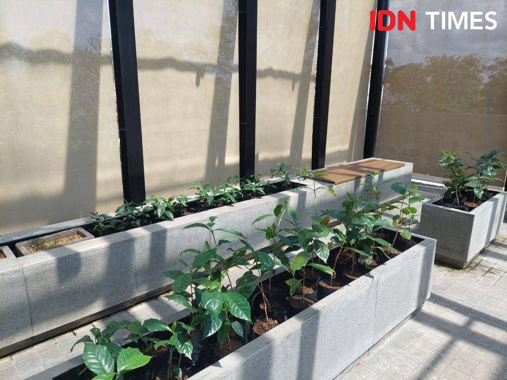 Gerai Starbucks Reserve Dewata, Bali (IDN Times/Erfah Nanda)