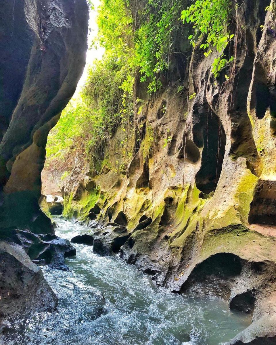 Beji Guwang (instagram.com/tiramisublackpepper)