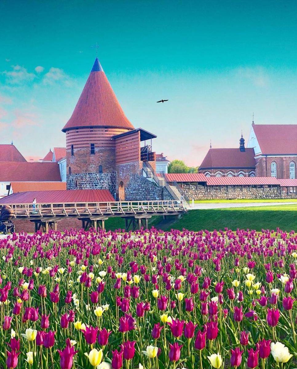 Kastil Kaunas (instagram.com/aidas.jarusaitis)
