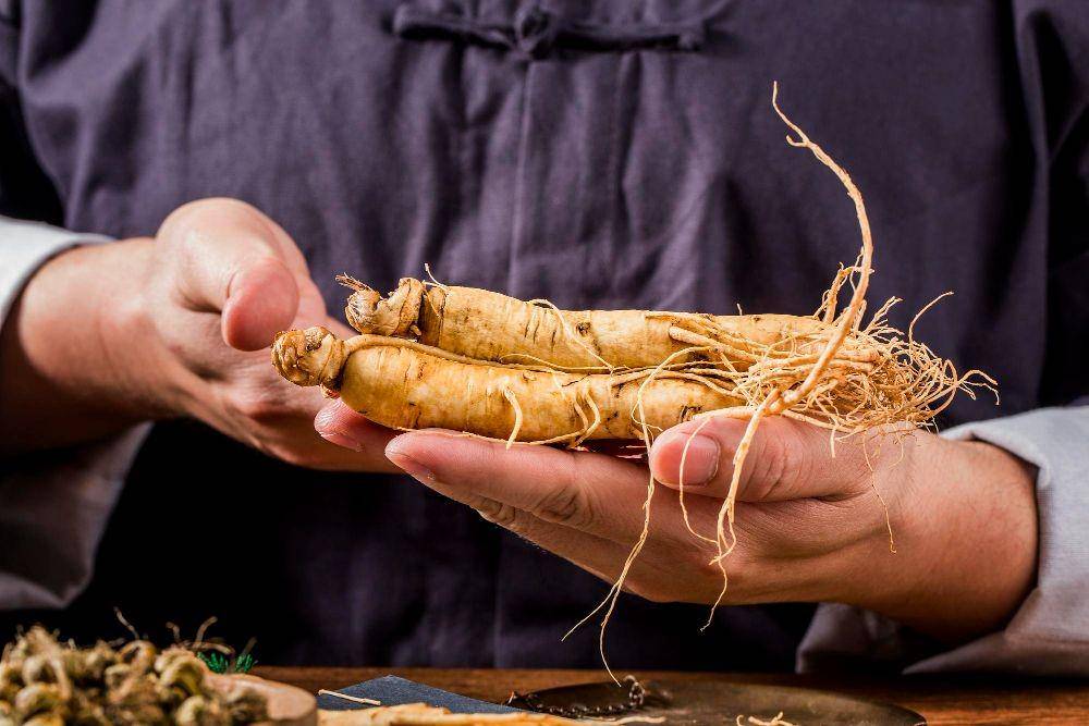 ilustrasi akar ginseng (freepik.com/Dashu83)