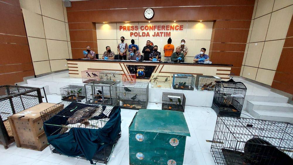 Polda Jatim saat ungkap kasus perdagangan satwa dilindungi, Jumat (26/8/2022). (IDN Times/Khusnul Hasana).