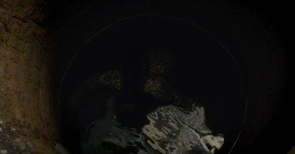 Nenek meninggal di dalam sumur ( Dok. Rapi Films / Pengabdi Setan 2017 )