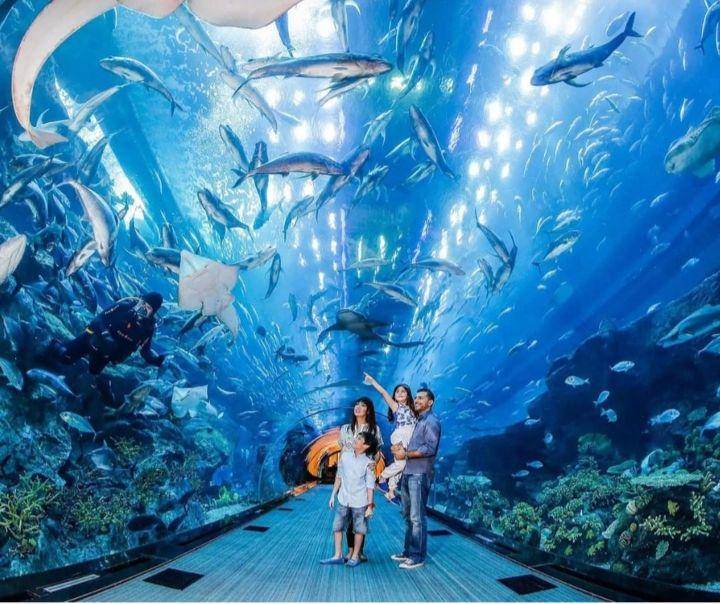 Dubai Aquarium (instagram.com/ramadajbrdubai)