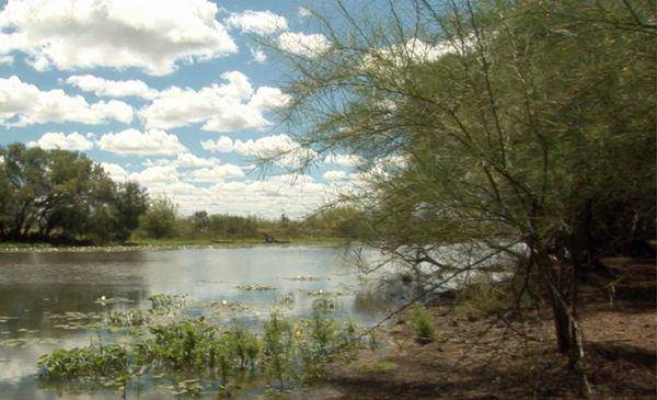 pemandangan danau Galilea di Queensland, Australia (commons.wikimedia.org/Desertd)