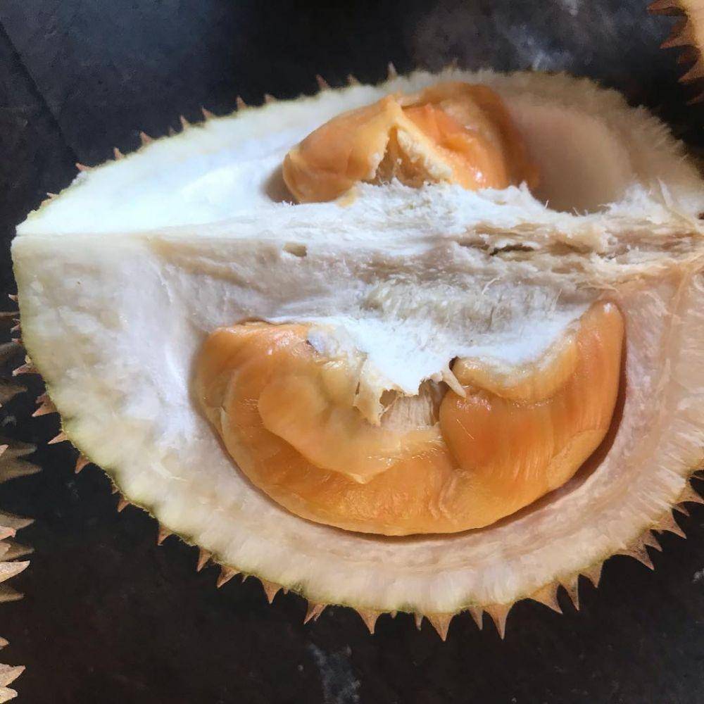 Durian di Likin Durian Agrotourism, Banyuwangi (instagram.com/asaliasiwi)