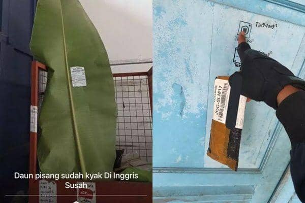 10 Potret Pengalaman Kocak Kurir saat Antar Paket, Hiburan Banget Nih!