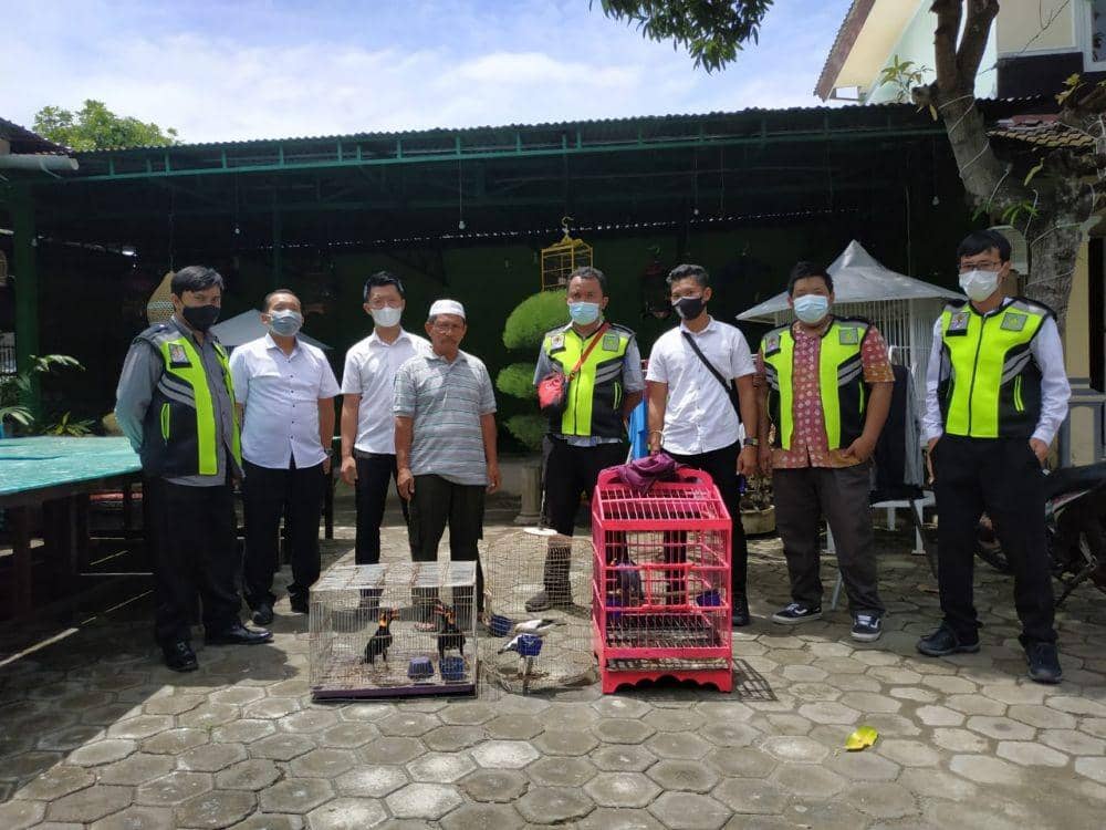 Penggagalan perdagangan burung dilindungi oleh petugas BKSDA NTB. (dok. BKSDA NTB)