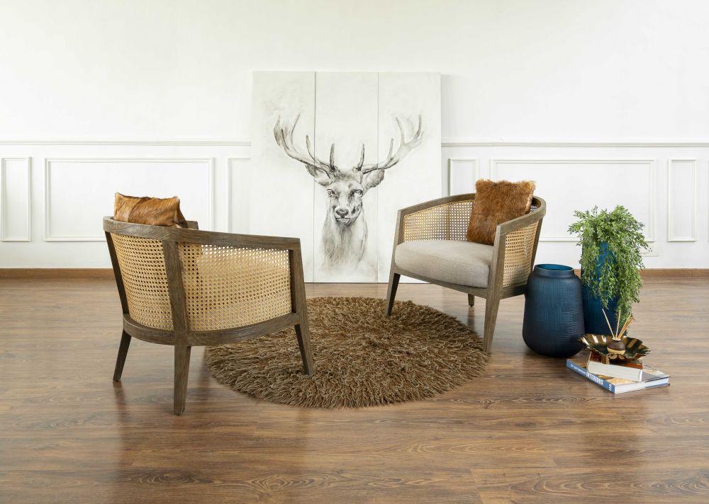furnitur cane (architectandinteriorsindia.com)