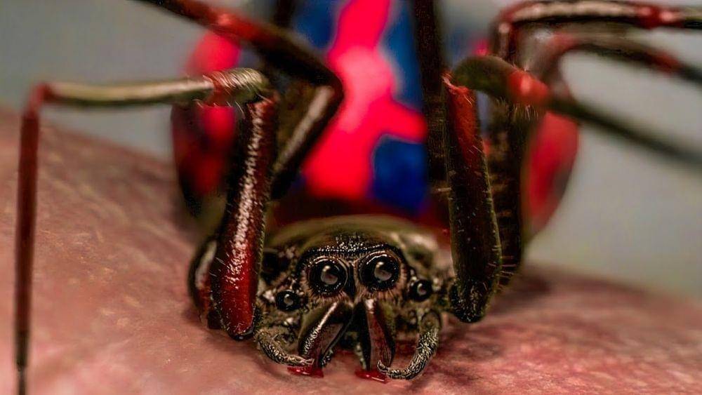 dok. Marvel/Laba-laba radioaktif