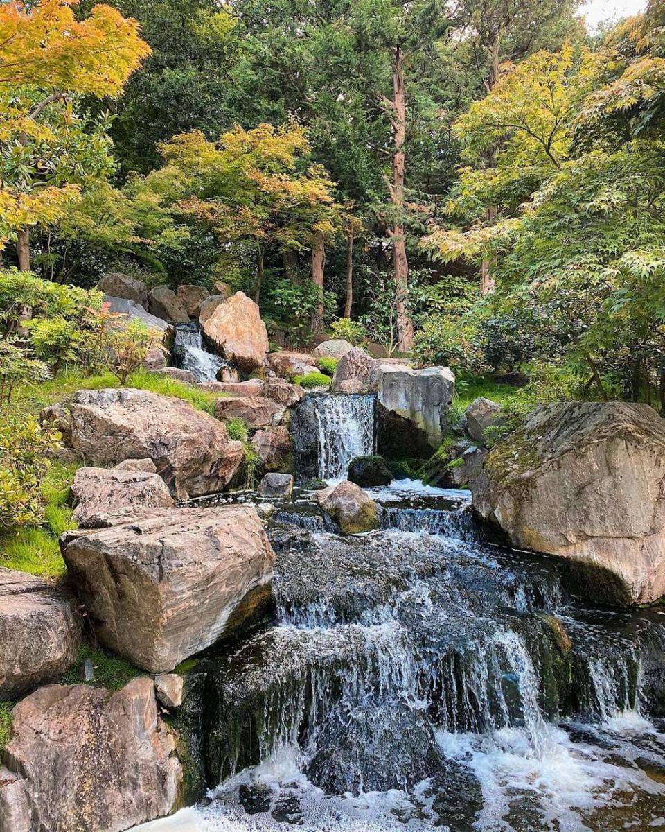 Kyoto Garden Waterfall (instagram.com/lifewithbugo)