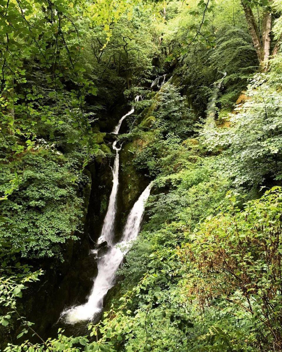 Stock Gyll Force (instagram.com/travelynwithcarolyn)