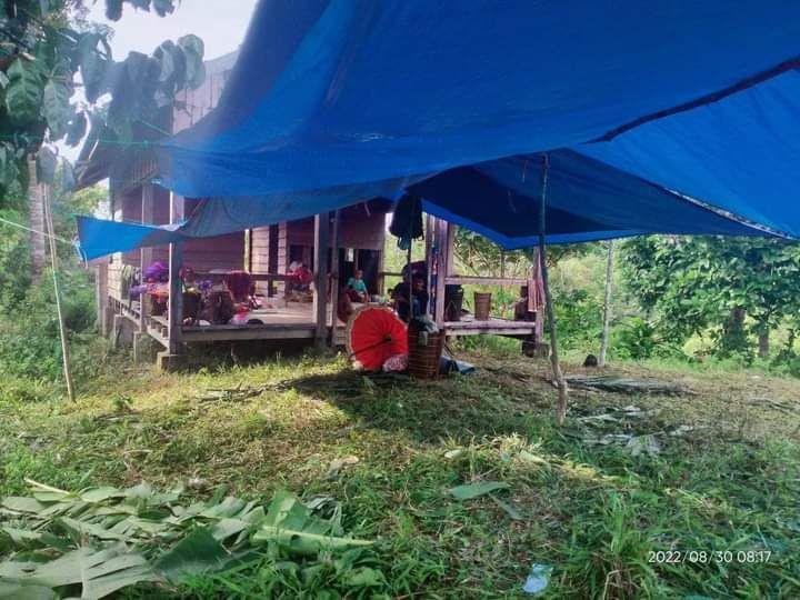 Gempa Mentawai, Kepala BNPB Imbau Warga Terdampak Lakukan 3 Hal Ini