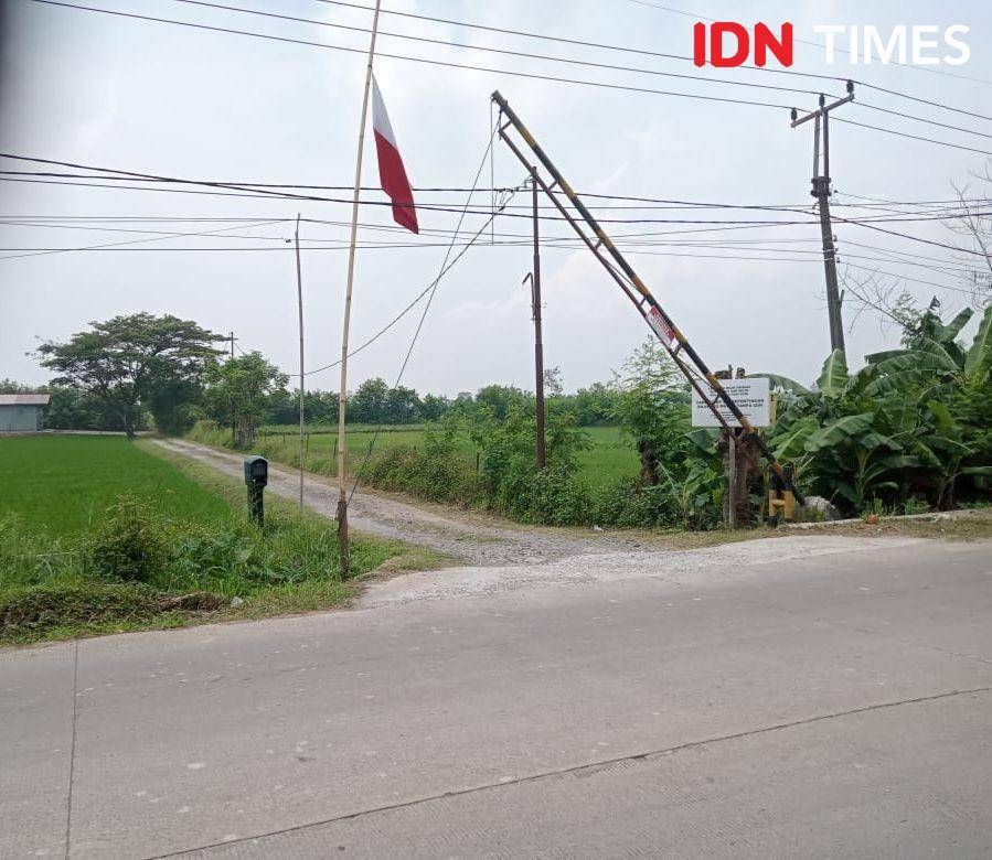 IDN Times/Maya Aulia Aprilianti