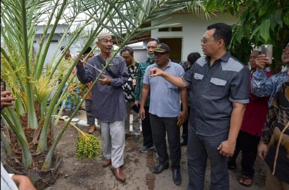 NTB Kembangkan Ekowisata Kurma di Lombok dan Sumbawa
