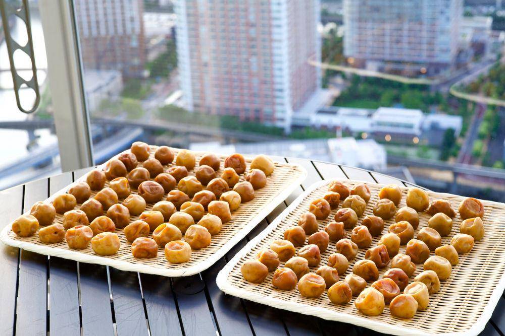 ilustrasi umeboshi (unsplash.com/ @roppongi)