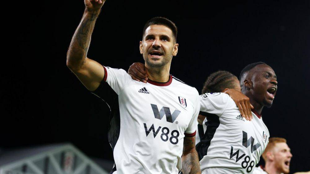 Aleksandar Mitrovic (premierleague.com)