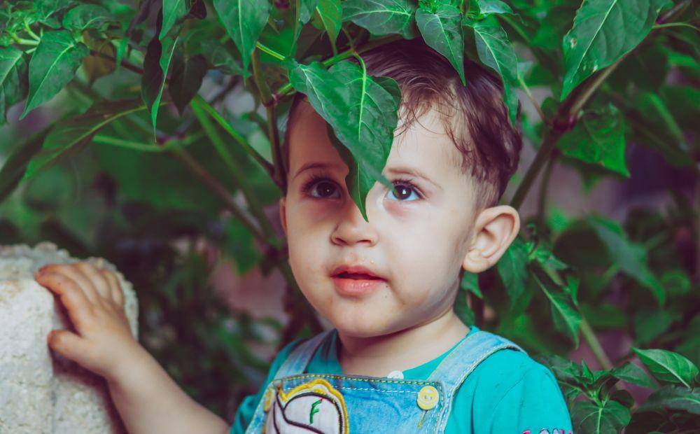 ilustrasi bayi laki-laki (pexels.com/@samerdaboul)