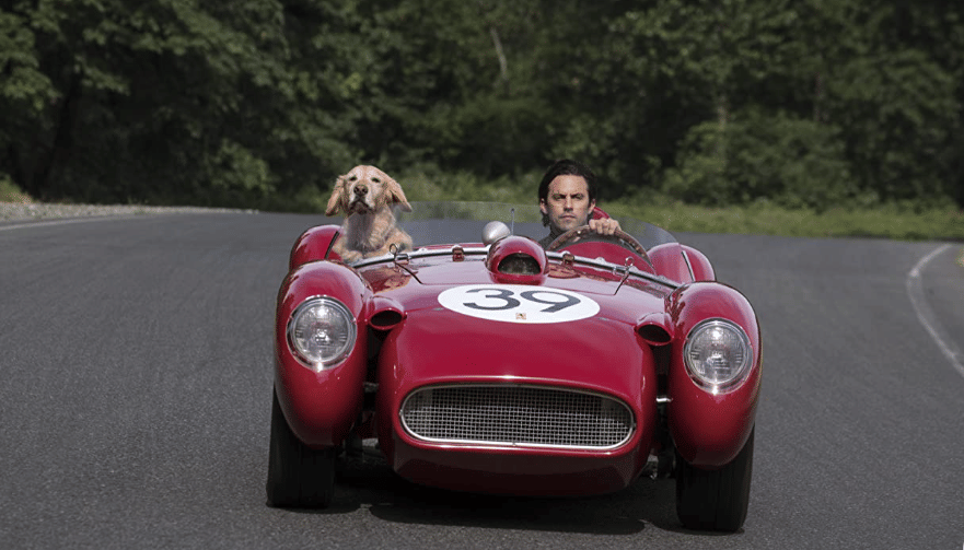 dok. Fox 2000 Pictures/ The Art of Racing in the Rain