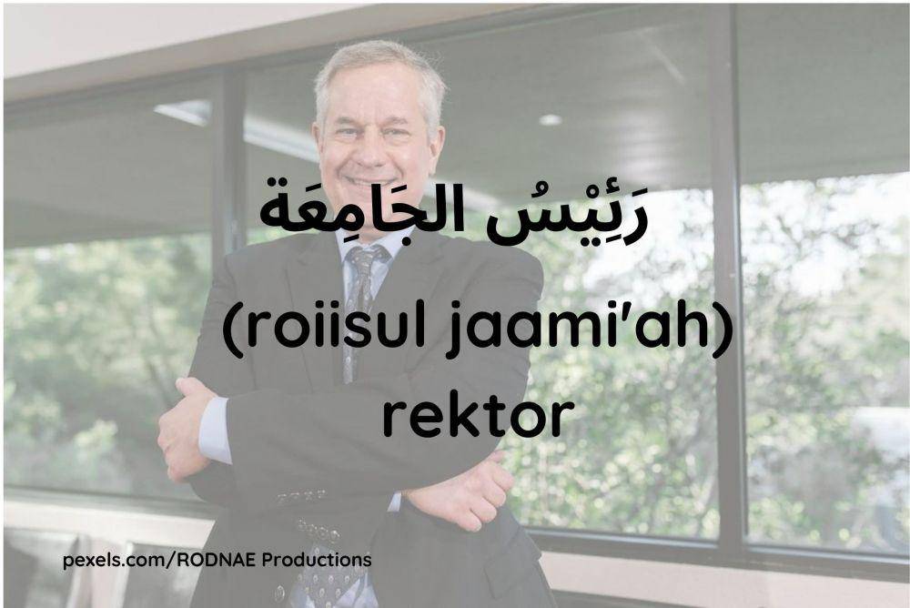 Ilustrasi rektor (Dok.pribadi/Maisix Dela Desmita)