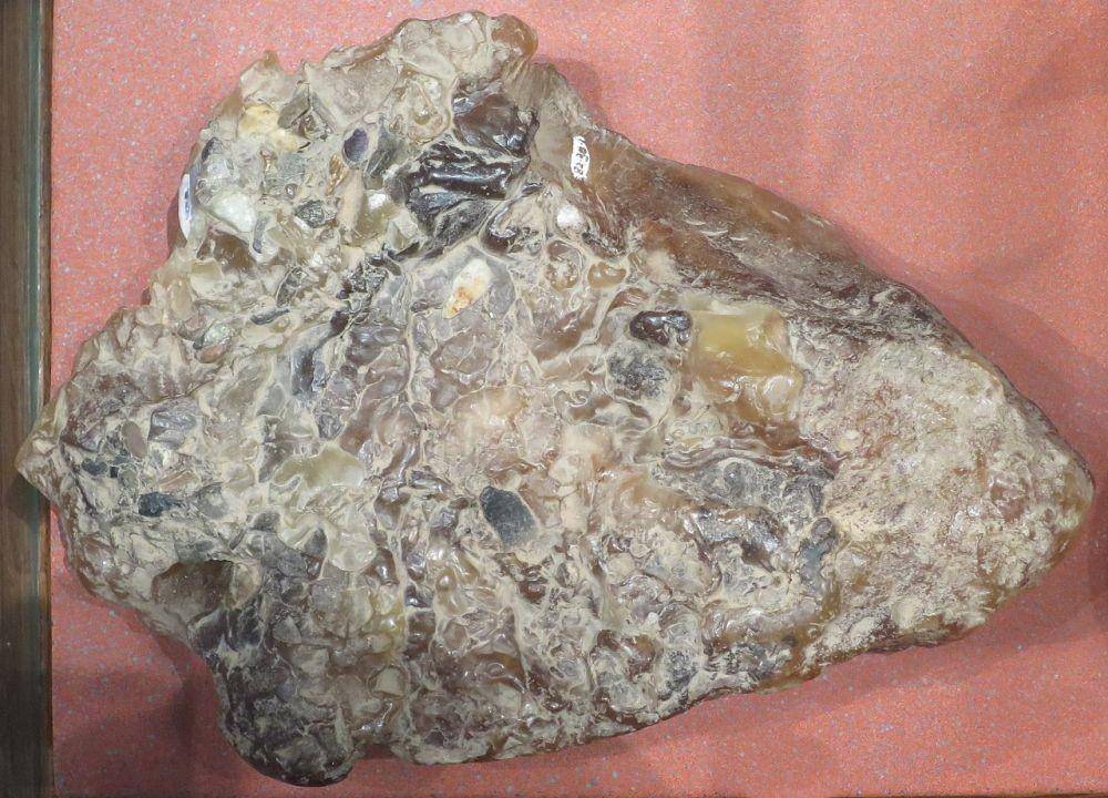 ilustrasi Ambergris (Wikimedia Commons/Wmpearl)