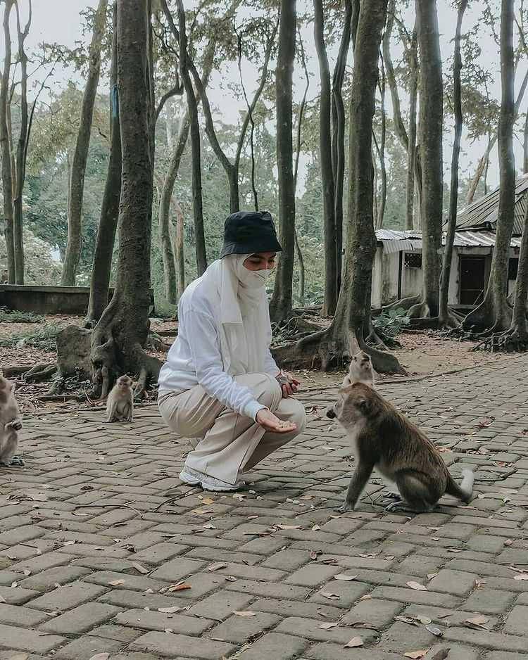 Hutan Solear (instagram.com/_dakuy)
