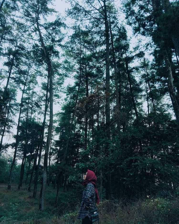 Bukit Plangon (instagram.com/prampuan_)