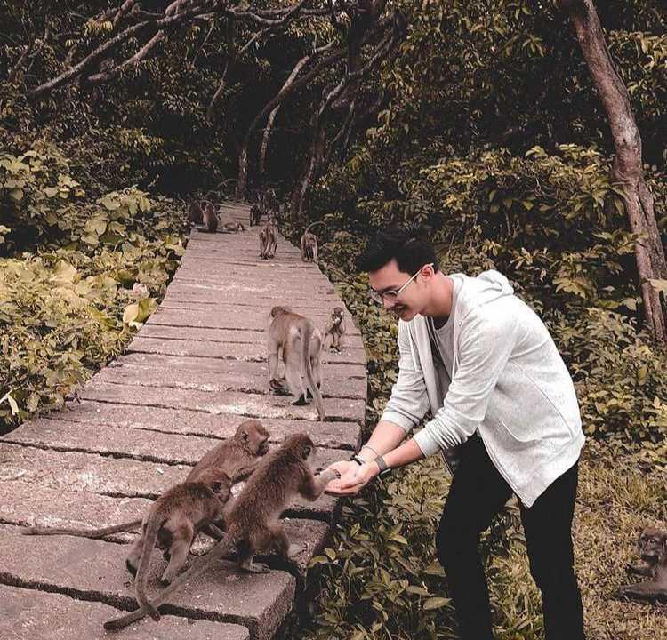10 Tempat Wisata untuk Berinteraksi dengan Monyet, Berani Datang?
