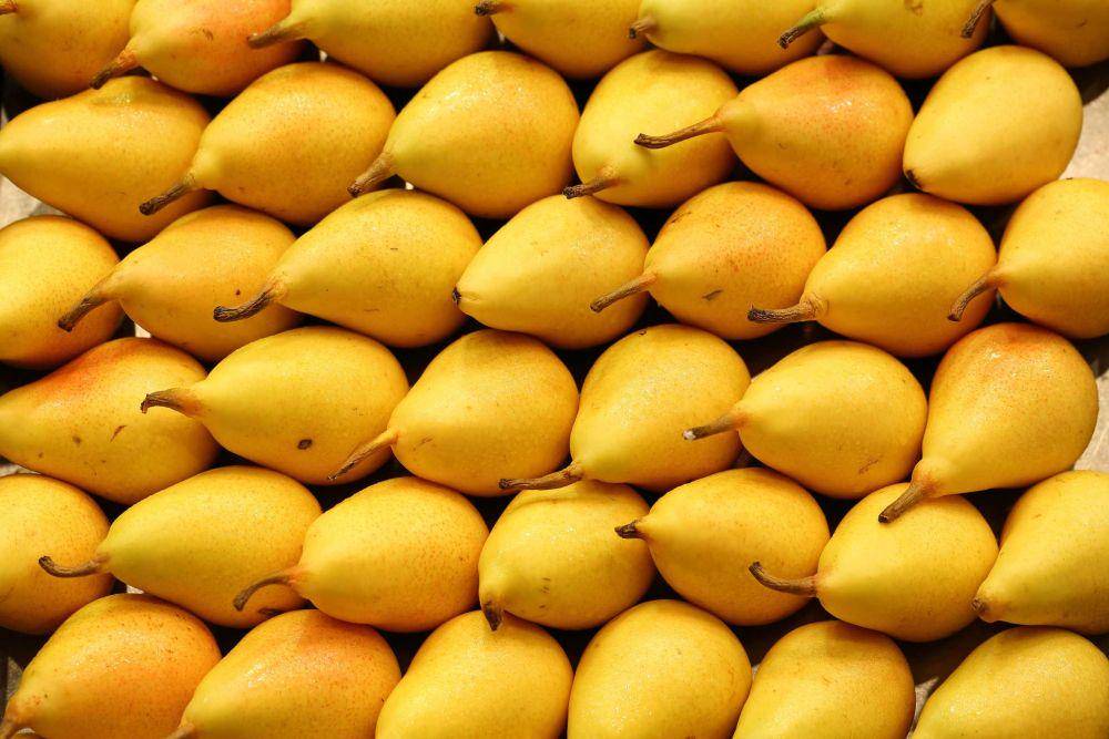 ilustrasi buah pear (unsplash.com/@maksimshutov)