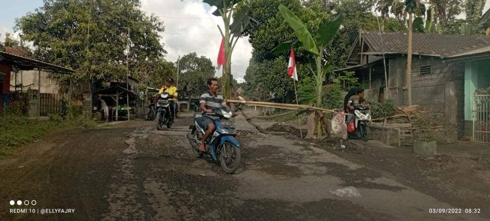 Rusak, Jalan Provinsi di Lombok Timur Ditanami Pohon Pisang oleh Warga