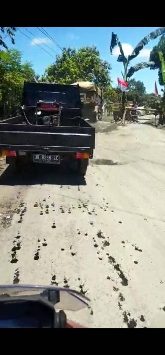 Ruas jalan yang ditanami pohon pisang oleh warga karena rusak parah dan berlubang. (dok. Lalu Suryanata Fikri)