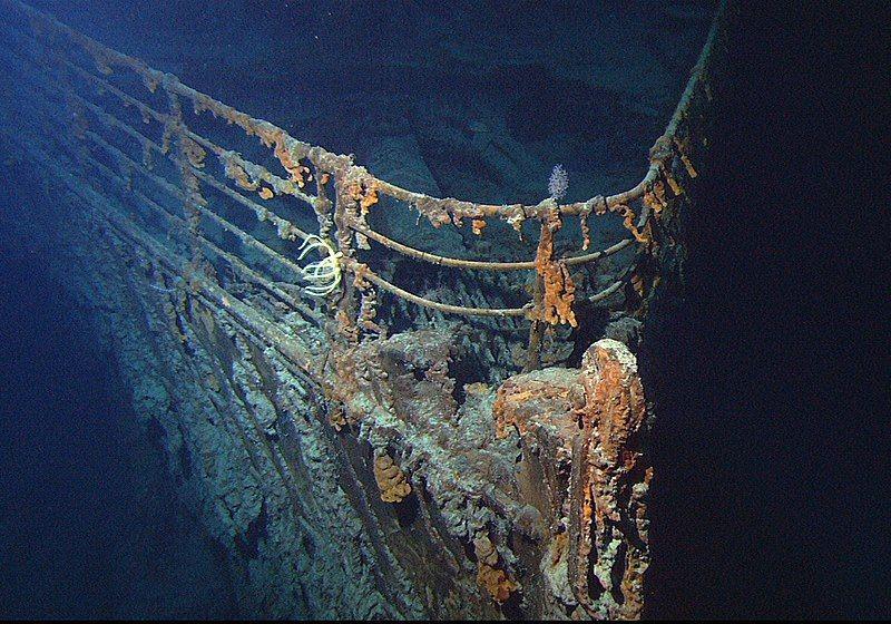 4 Hewan Penghuni Bangkai Titanic, Punya Bentuk Aneh dan Mengerikan