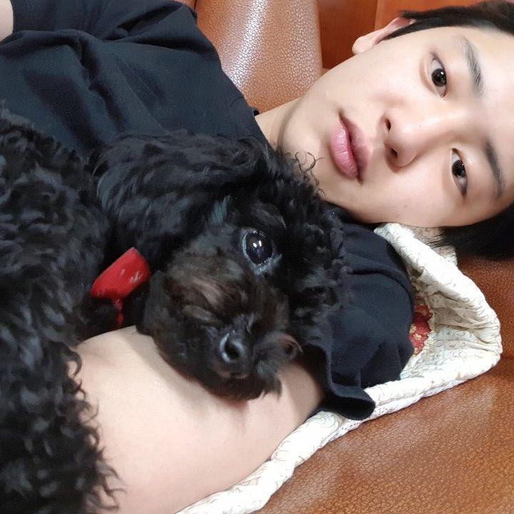 Kesayangan Chanyeol EXO, 12 Potret Gemas Toben yang Makin Eksis