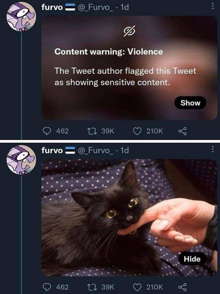 meme kucing (facebook.com/CokedOutCats)