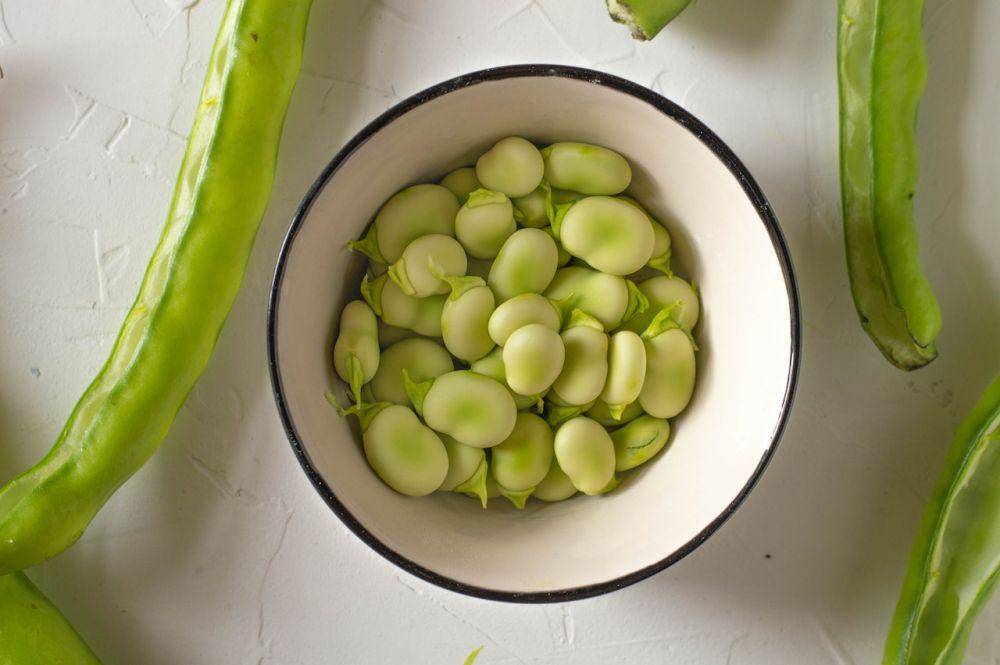 potret kacang koro (pexels.com/Ilaria)