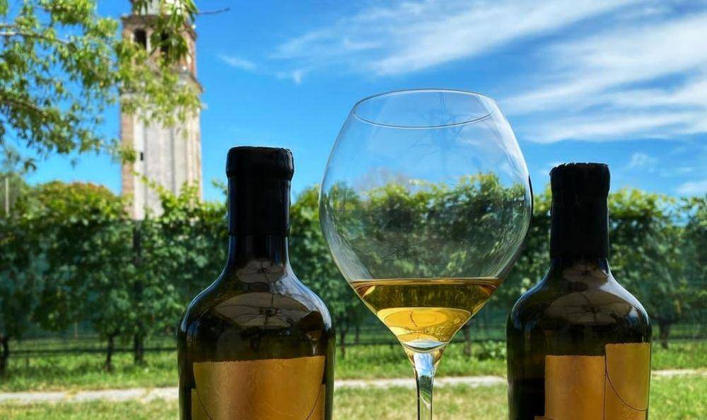Venissa Wine Resort (instagram.com/the_great_opener)