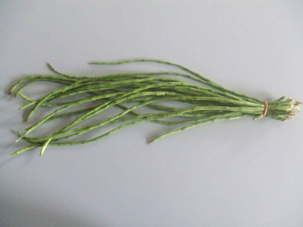 potret kacang panjang (commons.m.wikimedia.org/Hans B)