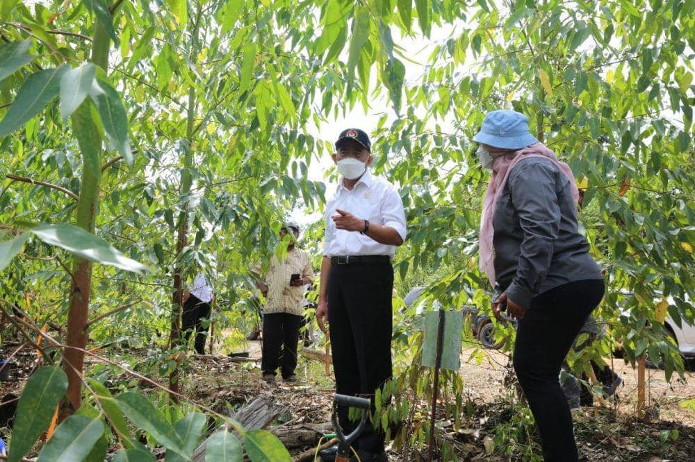Menko PMK Muhadjir Effendy, mengunjungi Kabupaten Penajem Paser Utara, Kalimantan Timur, untuk serangkaian acara penanaman pohon, Selasa (6/9/2022). (Dok. Humas Kemenko PMK).