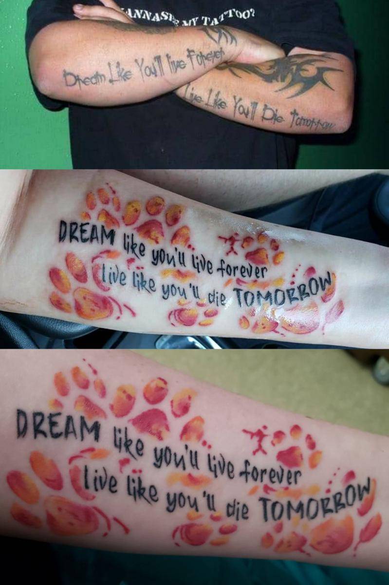 potret tato mempunyai arti dalam (reddit.com/user/ambxshing)