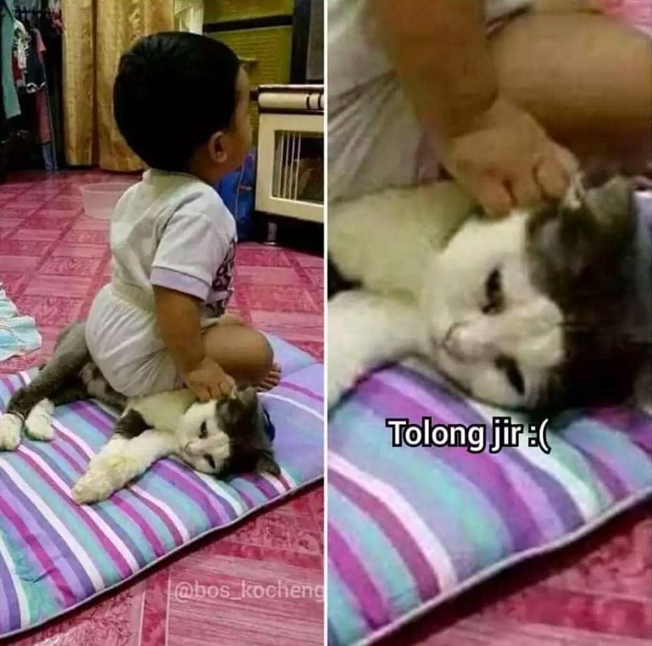 orang kelewat pasrah (instagram.com/bos_kocheng)