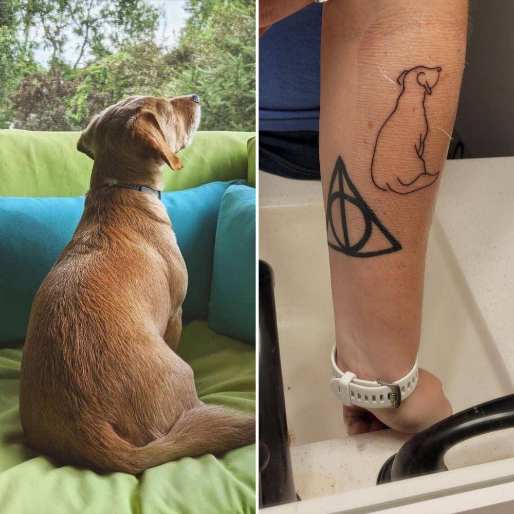 potret tato mempunyai arti dalam (reddit.com/user/GrandmaCereal)