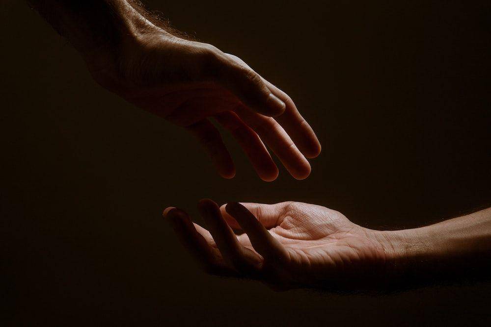 Unplash/jacksondavid